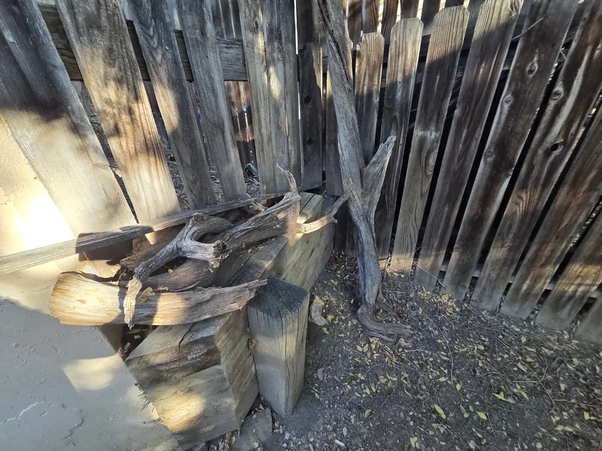Old wood and stumps stacked in a fence corner