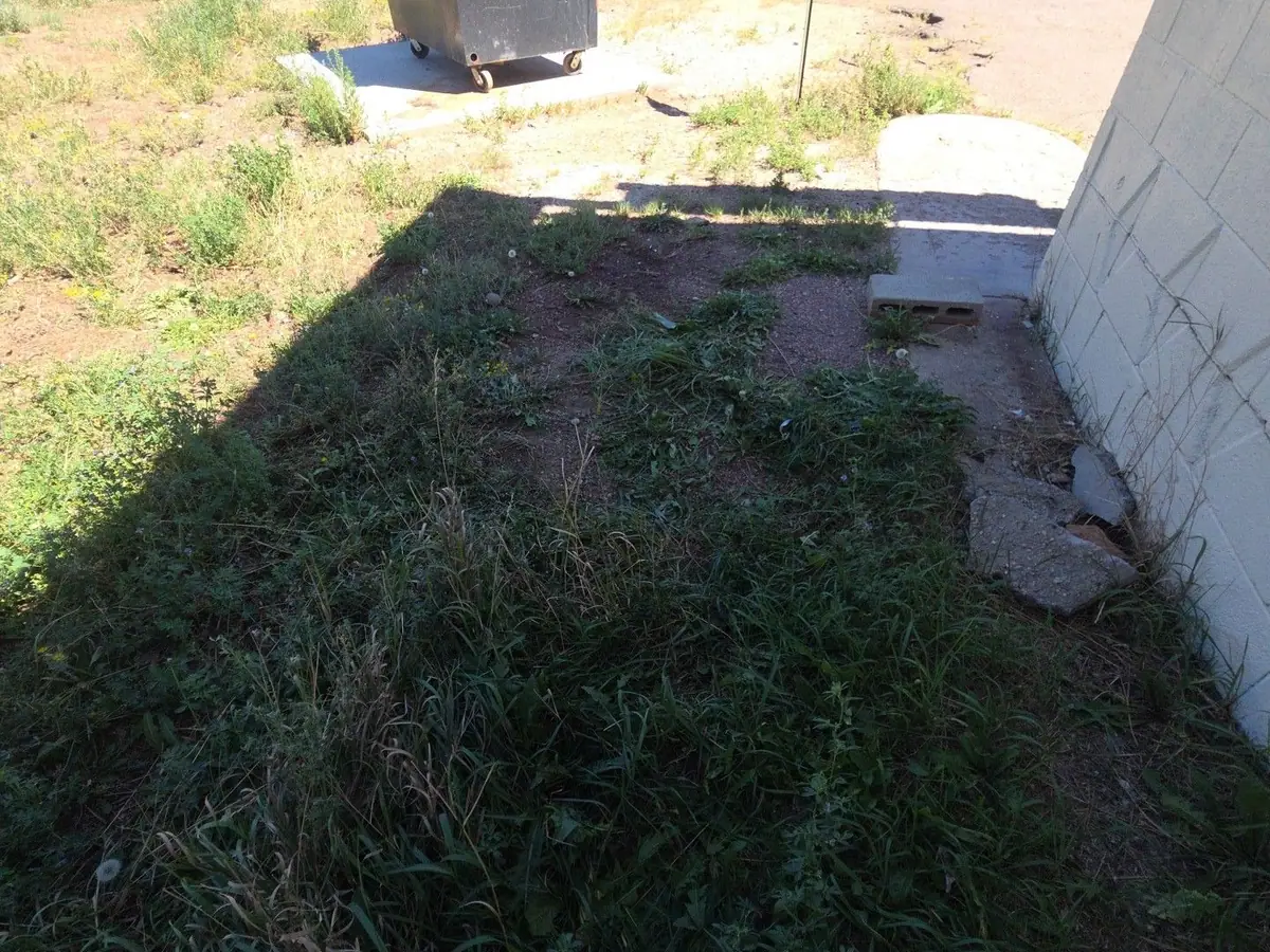 The same strip behind the business cleared