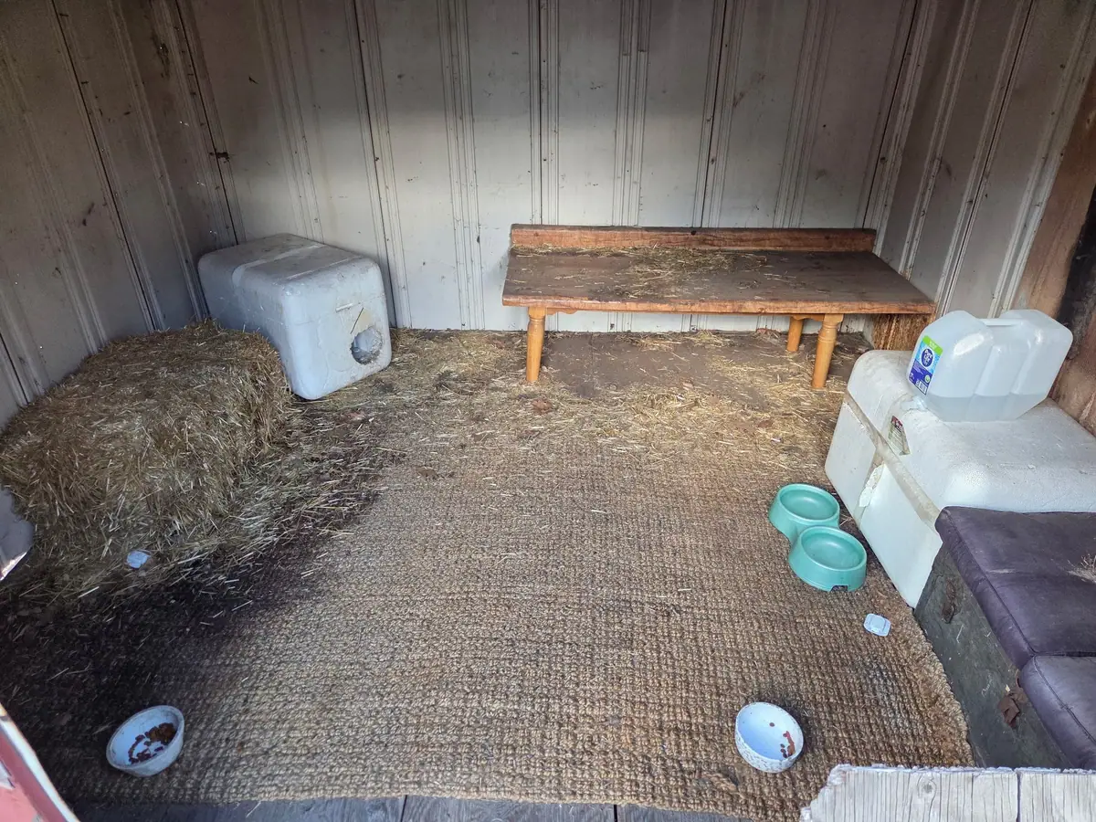 The inside of a shed with straw and old supplies left to clear out