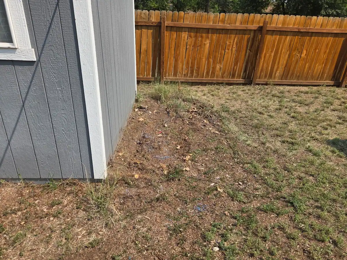 The same spot beside the grey shed cleared to the dirt