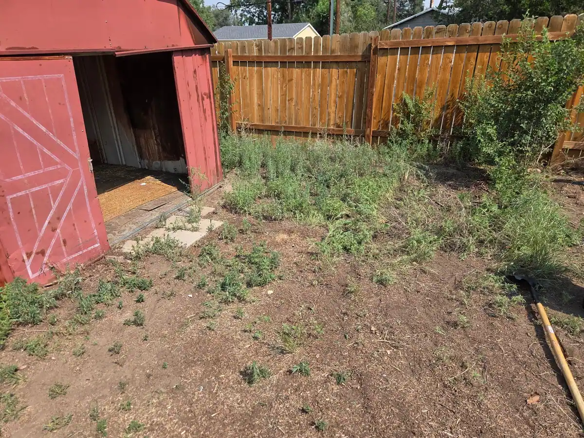 The same yard by the red shed with the table and boards gone