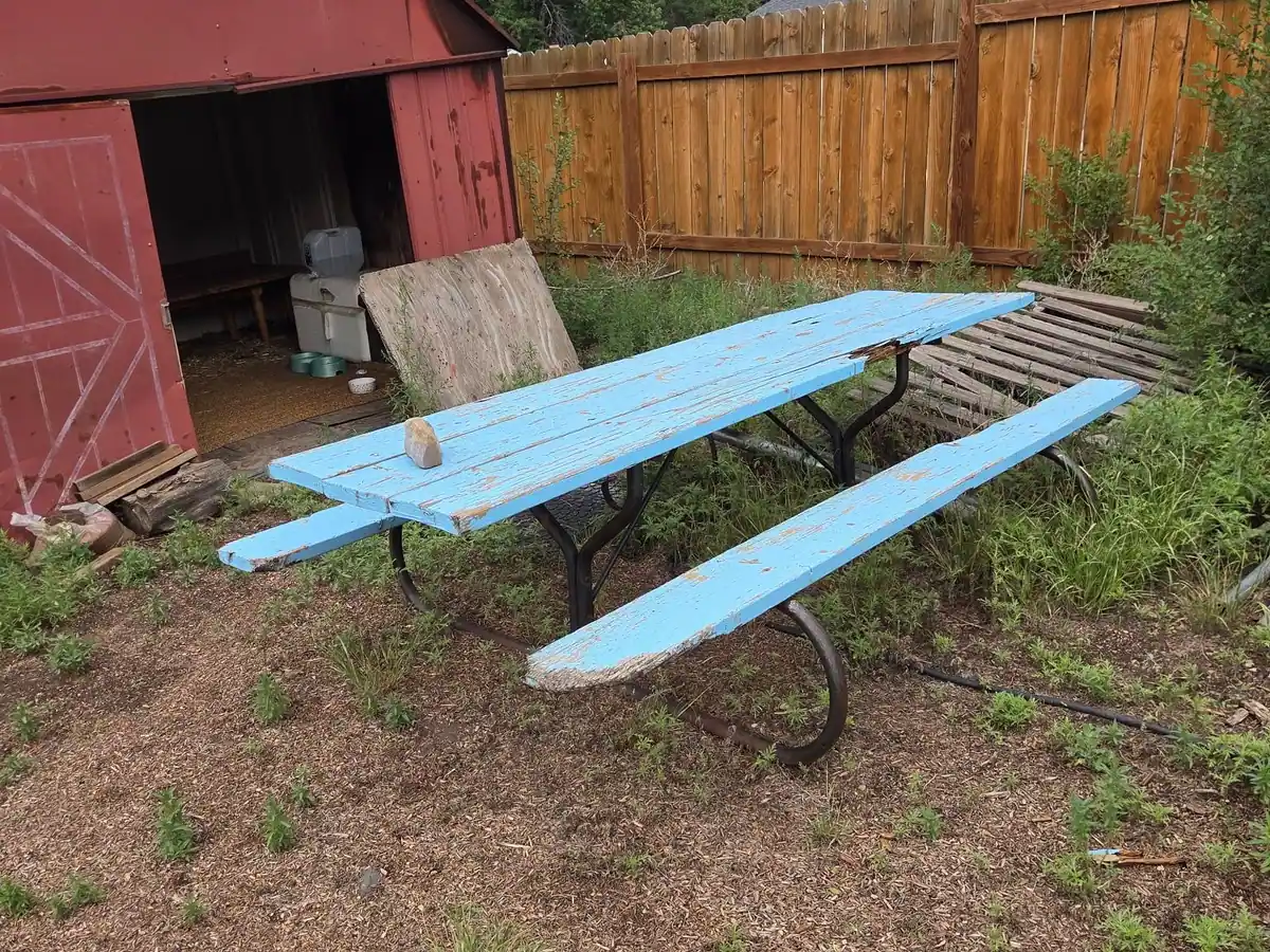 A worn picnic table and boards by a red shed in a fenced yard