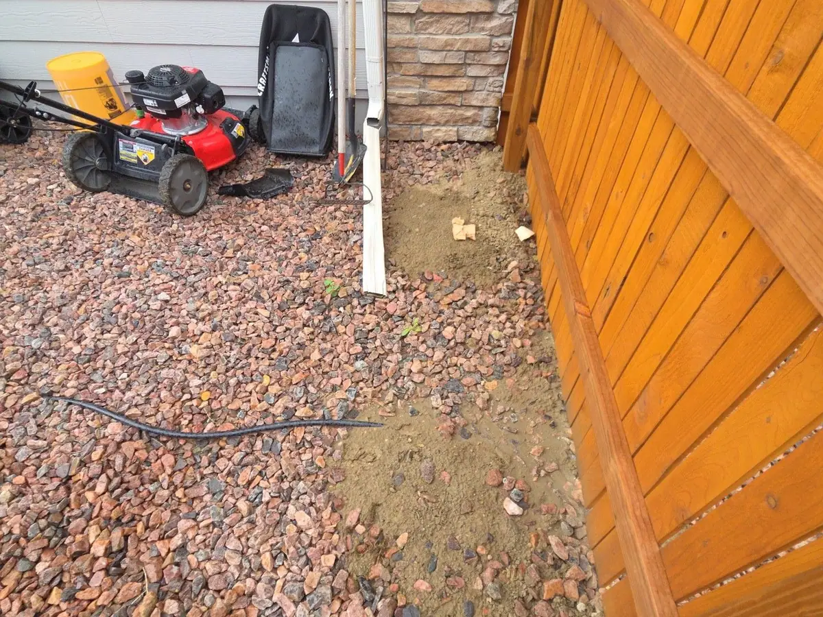 The same side yard with the rug hauled off