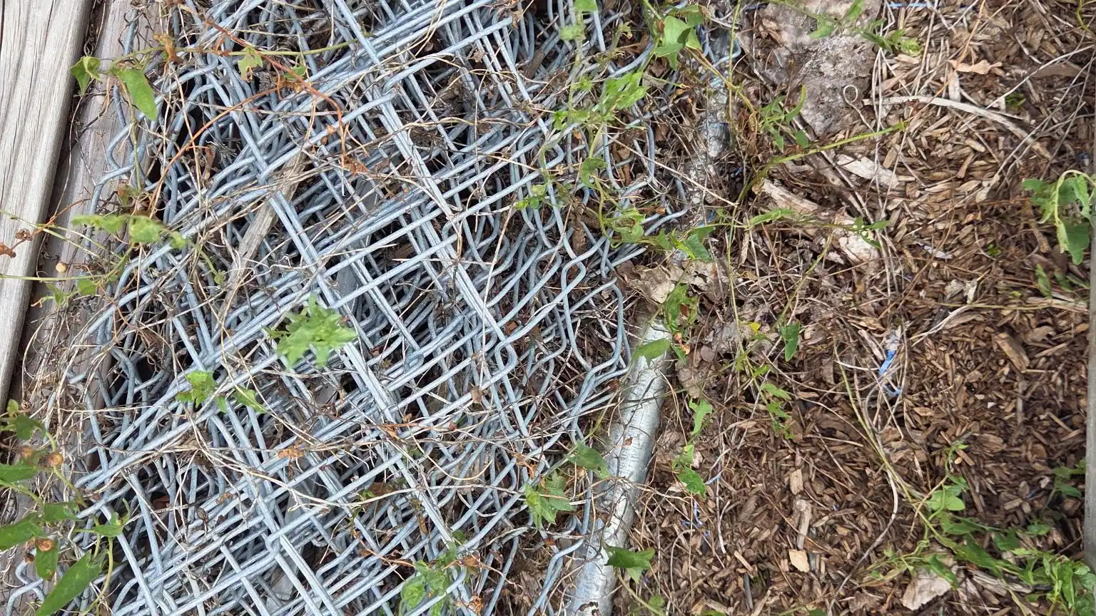 A roll of old chain link fence piled in the brush