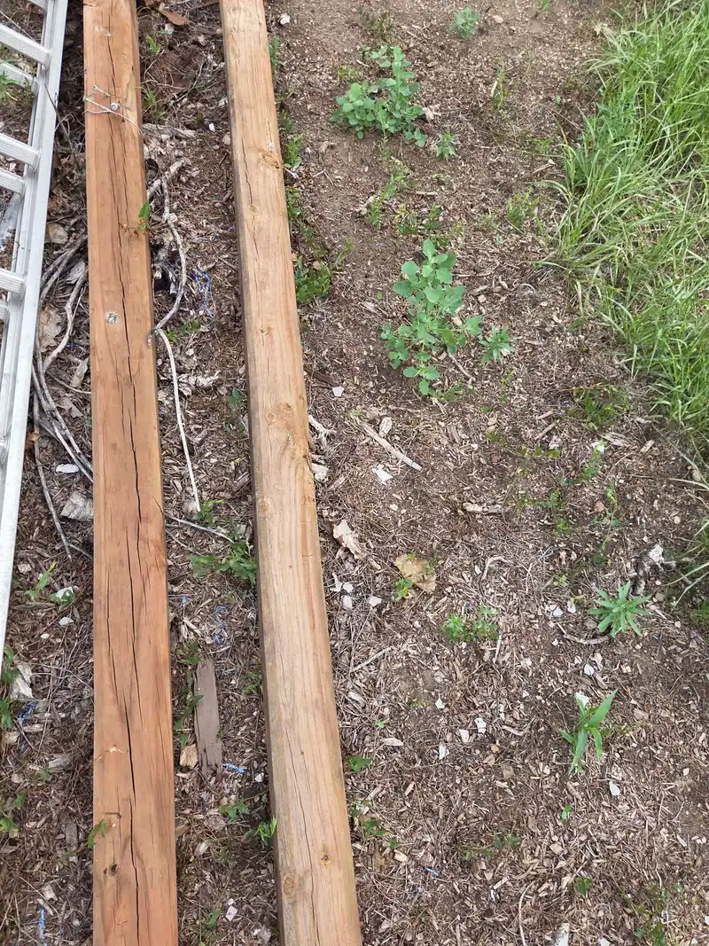 Old lumber lying in the weeds of a backyard